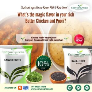 authentic Indian spices